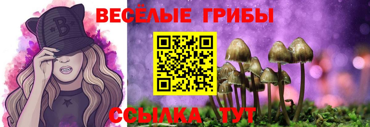 Псилоцибиновые грибы Psilocybe Нефтекумск